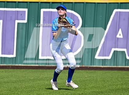 Thumbnail 2 in Hooks vs. Pine Tree (Hallsville Ladycat Classic) photogallery.