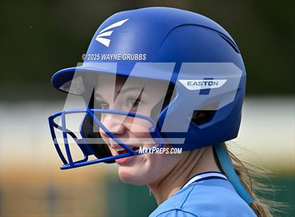 Thumbnail 3 in Hooks vs. Pine Tree (Hallsville Ladycat Classic) photogallery.