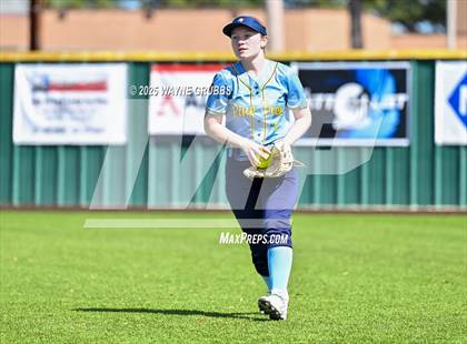 Thumbnail 1 in Hooks vs. Pine Tree (Hallsville Ladycat Classic) photogallery.