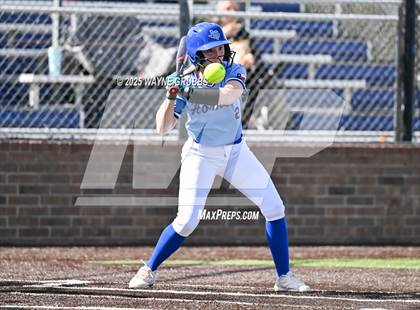 Thumbnail 1 in Hooks vs. Pine Tree (Hallsville Ladycat Classic) photogallery.