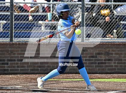 Thumbnail 1 in Hooks vs. Pine Tree (Hallsville Ladycat Classic) photogallery.