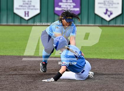 Thumbnail 1 in Hooks vs. Pine Tree (Hallsville Ladycat Classic) photogallery.