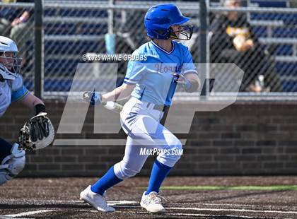 Thumbnail 3 in Hooks vs. Pine Tree (Hallsville Ladycat Classic) photogallery.