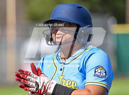 Thumbnail 1 in Hooks vs. Pine Tree (Hallsville Ladycat Classic) photogallery.