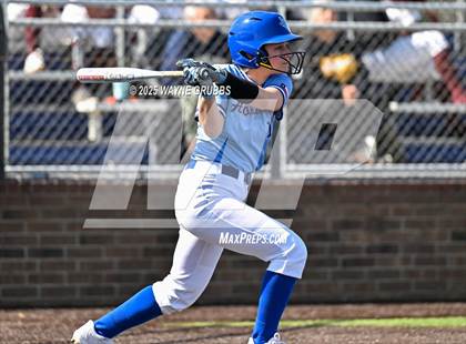 Thumbnail 1 in Hooks vs. Pine Tree (Hallsville Ladycat Classic) photogallery.
