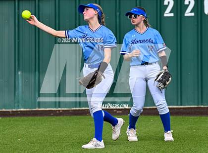 Thumbnail 1 in Hooks vs. Pine Tree (Hallsville Ladycat Classic) photogallery.