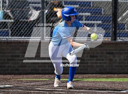 Thumbnail 1 in Hooks vs. Pine Tree (Hallsville Ladycat Classic) photogallery.