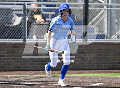 Thumbnail 2 in Hooks vs. Pine Tree (Hallsville Ladycat Classic) photogallery.