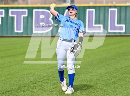 Thumbnail 2 in Hooks vs. Pine Tree (Hallsville Ladycat Classic) photogallery.