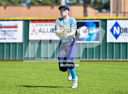Thumbnail 2 in Hooks vs. Pine Tree (Hallsville Ladycat Classic) photogallery.