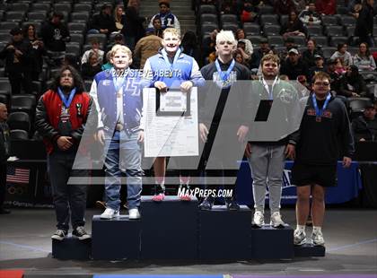 Thumbnail 1 in CHSAA State Championship Tournament (Session 6) photogallery.