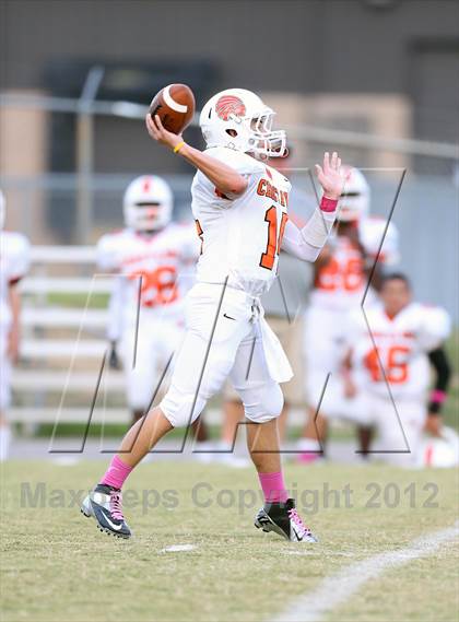 Thumbnail 2 in Dyer County @ Munford photogallery.