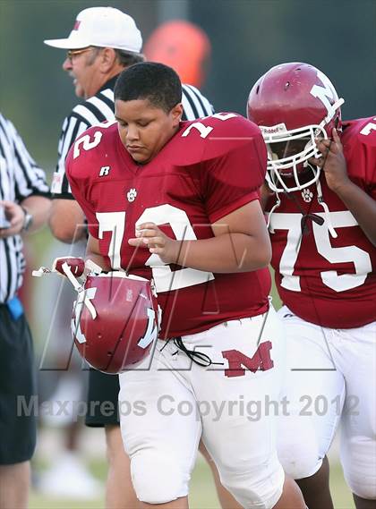 Thumbnail 2 in Dyer County @ Munford photogallery.