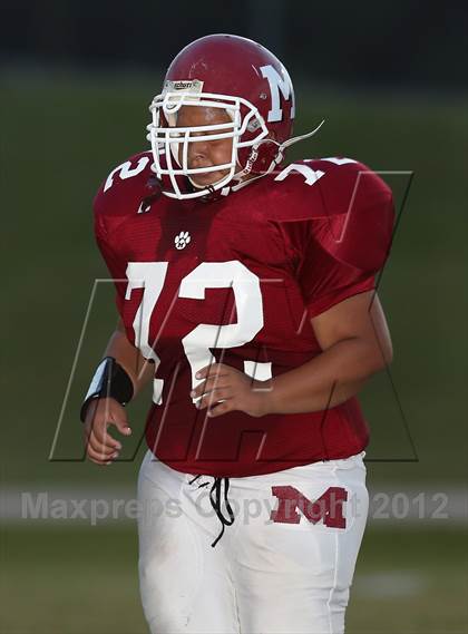 Thumbnail 1 in Dyer County @ Munford photogallery.