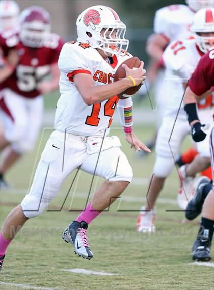 Thumbnail 1 in Dyer County @ Munford photogallery.