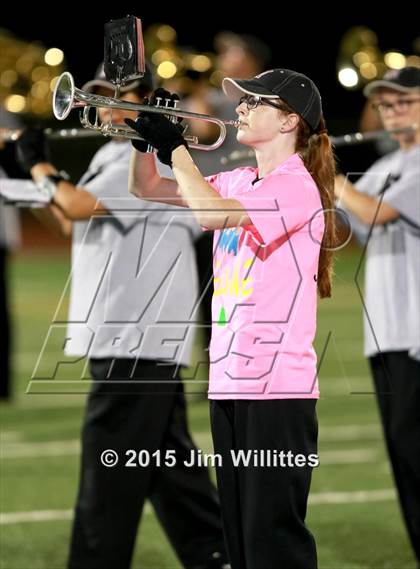Thumbnail 3 in Vista Grande @ Maricopa photogallery.
