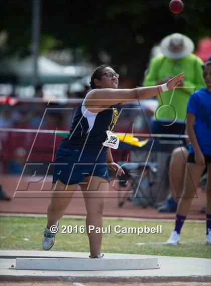Thumbnail 3 in AIA State Track & Field Championships (Girls Field Events Semifinals) photogallery.