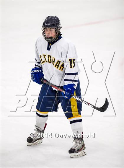 Thumbnail 1 in JV: Canton @ Needham photogallery.