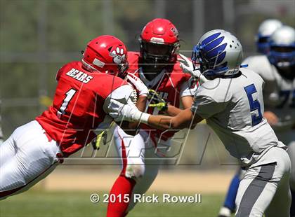 Thumbnail 3 in Excelsior Charter @ Big Bear photogallery.