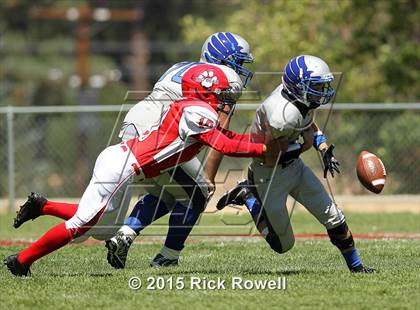 Thumbnail 3 in Excelsior Charter @ Big Bear photogallery.