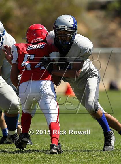 Thumbnail 3 in Excelsior Charter @ Big Bear photogallery.