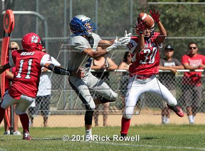 Thumbnail 3 in Excelsior Charter @ Big Bear photogallery.