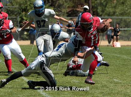 Thumbnail 2 in Excelsior Charter @ Big Bear photogallery.