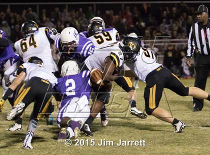 Thumbnail 1 in Hernando @ DeSoto Central photogallery.