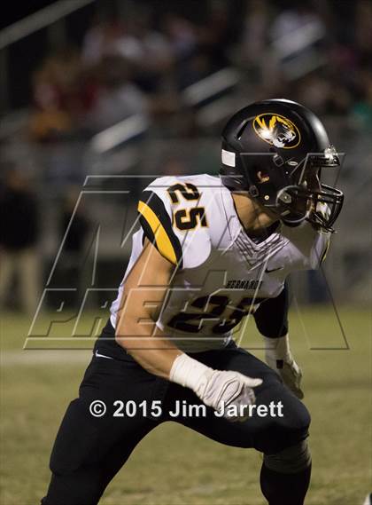 Thumbnail 1 in Hernando @ DeSoto Central photogallery.