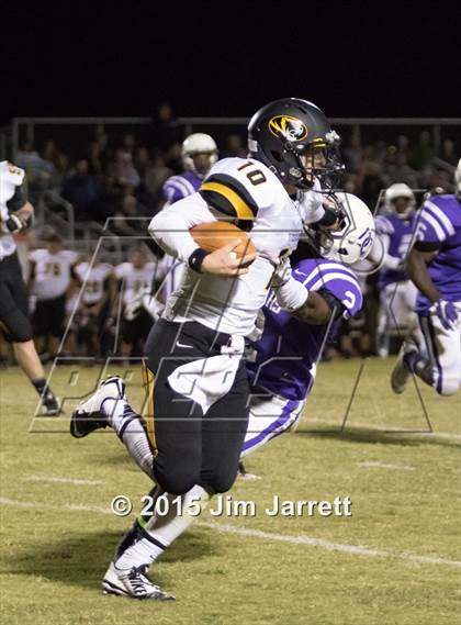 Thumbnail 2 in Hernando @ DeSoto Central photogallery.