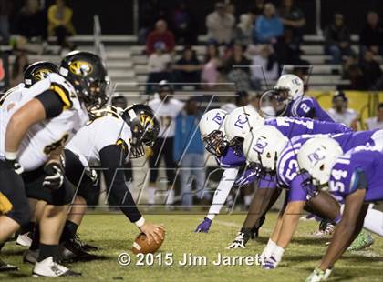 Thumbnail 3 in Hernando @ DeSoto Central photogallery.