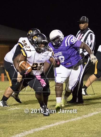 Thumbnail 1 in Hernando @ DeSoto Central photogallery.