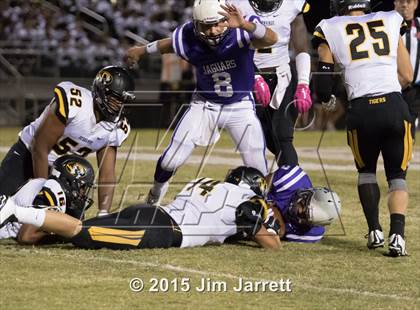 Thumbnail 3 in Hernando @ DeSoto Central photogallery.