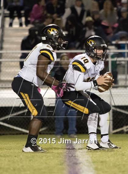 Thumbnail 3 in Hernando @ DeSoto Central photogallery.