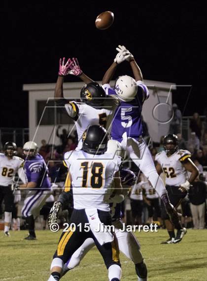 Thumbnail 1 in Hernando @ DeSoto Central photogallery.