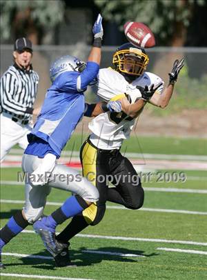 Sunday, Nov 29, 2009