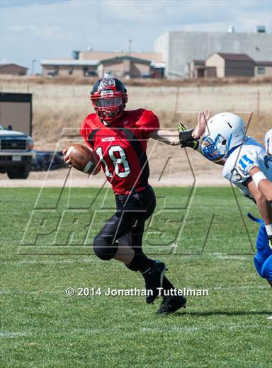 2014 - Photo #8