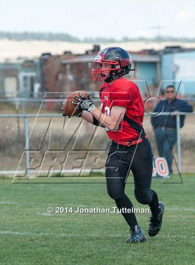 2014 - Photo #5
