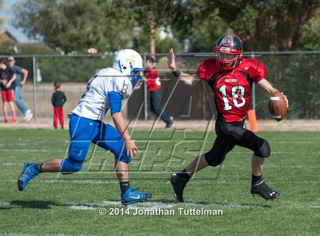 2014 - Photo #4
