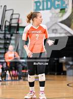 Photo from the gallery "University @ Pine Ridge"