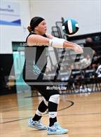 Photo from the gallery "University @ Pine Ridge"