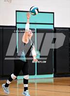 Photo from the gallery "University @ Pine Ridge"