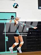 Photo from the gallery "University @ Pine Ridge"