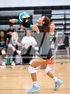 Photo from the gallery "University @ Pine Ridge"