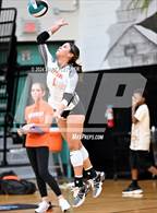 Photo from the gallery "University @ Pine Ridge"