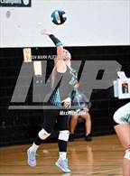 Photo from the gallery "University @ Pine Ridge"