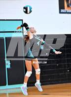 Photo from the gallery "University @ Pine Ridge"