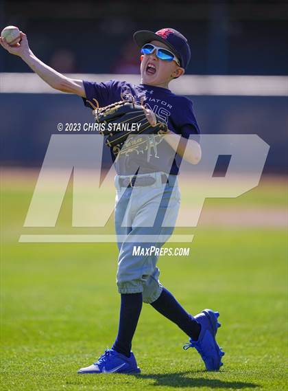 Thumbnail 1 in Lowell vs. Saint Viator(Coach Bob Tournament) photogallery.