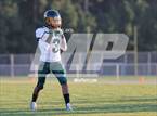 Photo from the gallery "Pine Forest @ Gray's Creek"