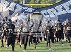 Photo from the gallery "Pine Forest @ Gray's Creek"
